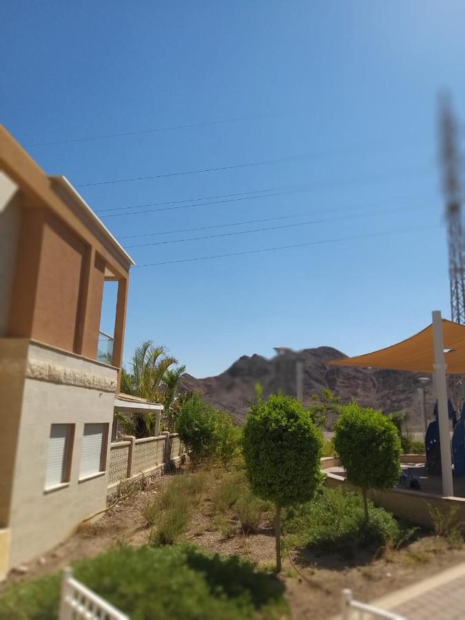 סטודיו 10 Studio Eilat Eksteriør billede
